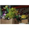 Image 2 : TWO BOXES OF SUMMER FLORALS