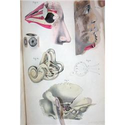 [  CROMMELINCK, Constant].- [ Nouveau manuel...