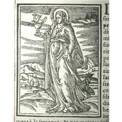 VIEL, P.; TIGEOU, J.; MARCHANT, C. etc...- Hi...