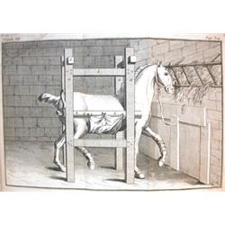 SIND, J.-B. de.- L' art du manège pris dans s...