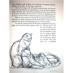 LECOMTE, Georges.- Steinlen. Chats et autres...
