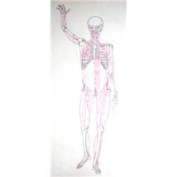 VERHAS, E.F.- Anatomie toegepast op de Schoon...