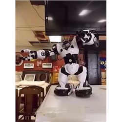 REMOTE CONTROL ROBOT WITH REMOTE - STR