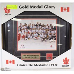 NEW FRAMED TEAM CANADA GOLD META CHAMPS 2002