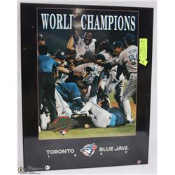 TORONTO BLUE JAYS 1992 WORLD CHAMPIONS DISPLAY