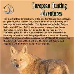 Safari Art Golden Jackal