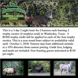 3 day 2 night hunt for 2 hunters each hunting 2 trophy exotics (4 trophies total) in Wimberley, Texa