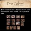 Image 1 : $650 certificate for a shoulder mount for a deer/impala sized animal