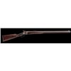 Image 1 : Sharps Buffalo Rifle