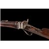 Image 3 : Sharps Buffalo Rifle