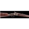 Image 4 : Sharps Buffalo Rifle