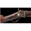 Image 6 : Sharps Buffalo Rifle