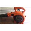 Image 8 : Qty 2 Leaf Blower: Tanaka and Bolens