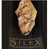 Image 1 : 12xPouilly Fume Silex Didier Dagueneau 2009  (750ml)