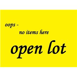 OPEN LOT - SOLD