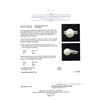 Image 5 : Pearl and Diamond Ring - 18KT White Gold