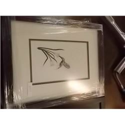 FRAMED RICHARD SHORTY PRINT - SIGNED - COUNTRY HUMMING BIRD