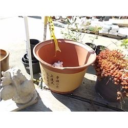 LARGE TERRA COTTA PLANT POT - as-is