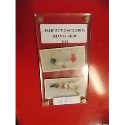 COLLECTIBLE CIGARETTE CARDS - JOHN PLAYERS - 1911