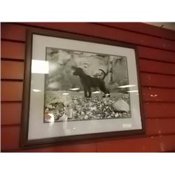 FRAMED PRINT - DOG