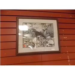 FRAMED PRINT - DOG