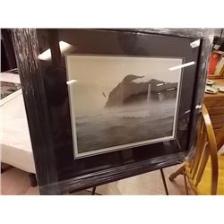 FRAMED LIMITED EDITION PRINT - SPIRIT OF HAIDA GWAII - C MacCLUE - ESTIMATED GALLERY PRICE $550