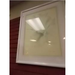 FRAMED PRINT - FLOWERS
