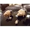 Image 2 : HAND CRAFTED - CARVED PIGS - 4 TTL