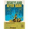 Image 1 : "Disneyland After Dark" Ticket Poster.