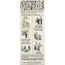Disneyland After Dark Gate Flyer.