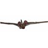 Image 2 : "Big Thunder Mountain" Bat Prop.