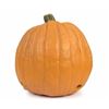 Image 2 : Jack-O-Lantern Prop from Disneyland.