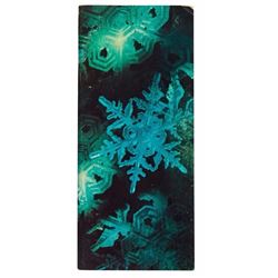 "Adventure Thru Inner Space" Brochure.