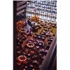 Image 3 : Collection of (74) Amateur Color Slides of Walt Disney World 1972.