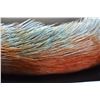 Image 2 : Blue & Brown Feather Hat Band - 2" Width, Good Condition