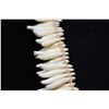 Image 13 : Tooth Necklace w/Braided Cord Tie, 20" Length, Period Reproduction