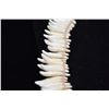 Image 14 : Tooth Necklace w/Braided Cord Tie, 20" Length, Period Reproduction