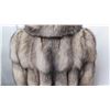Image 8 : Authentic Fur Coat - Silver Fox, Stroller (Dietrich Dornblut, Wurzburg)