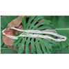 Image 8 : Niihau Shell Lei - 10 Strands, 73" Momi Ke'oke'o Waha 'Ula'ula (Red Lipped "Dove Shells")