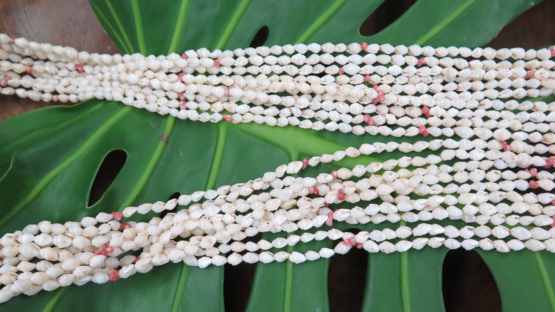 Niihau Shell Lei - 10 Strands, 73