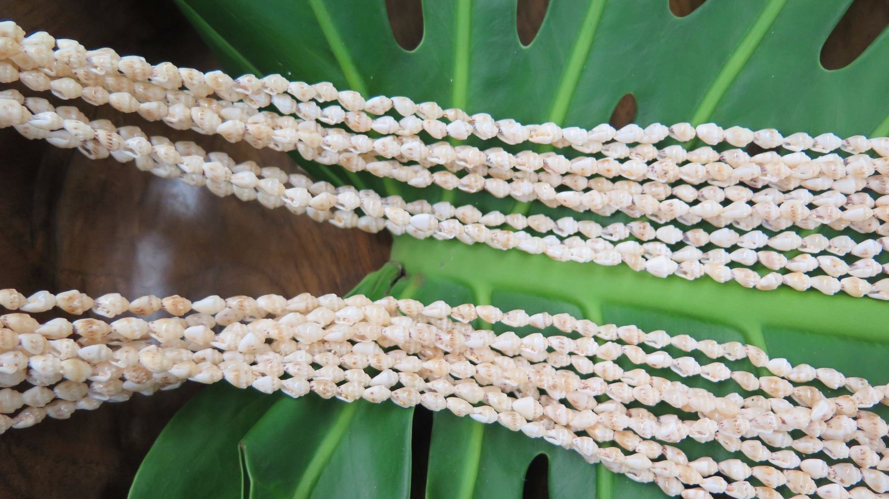 Niihau Shell Lei - 10 Strands, 73