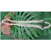 Image 1 : Niihau Shell Lei - 10 Strands, 73" Momi Lenalena (Yellow "Dove Shells")