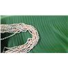 Image 8 : Niihau Shell Lei - 10 Strands, 73" Momi Lenalena (Yellow "Dove Shells")