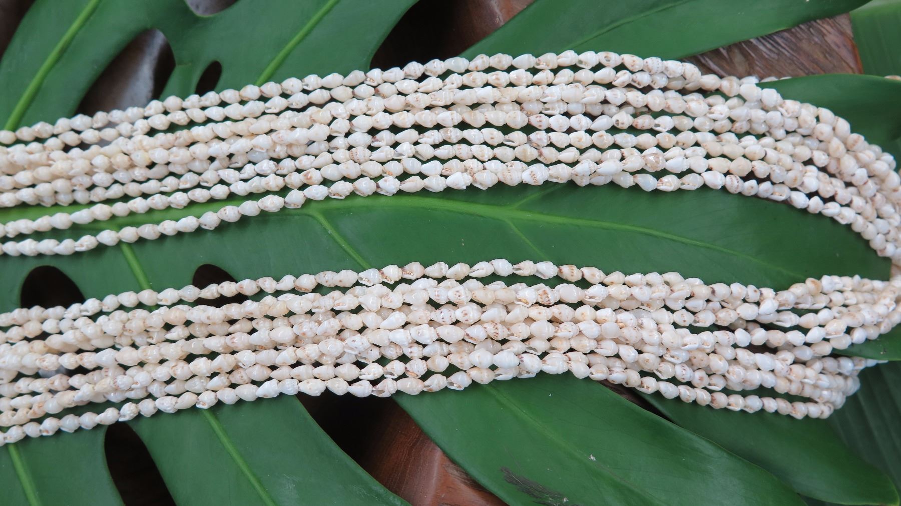 Niihau Shell Lei - 10 Strands, 61