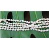 Image 8 : Niihau Shell Lei - 5 Strands, 49" Momi Ke'oke'o (White "Dove Shells")