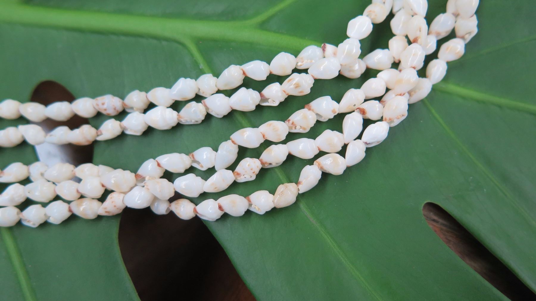Niihau Shell Lei - 5 Strands, 49