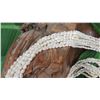 Image 8 : Niihau Shell Lei - 10 Strands, 37" Momi Ke'oke'o (White "Dove Shells")