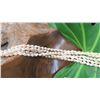 Image 8 : Niihau Shell Lei - 5 Strands, 36" Momi Lenalena 'Ahiehie ("Dove Shells w/Yellow Shades)