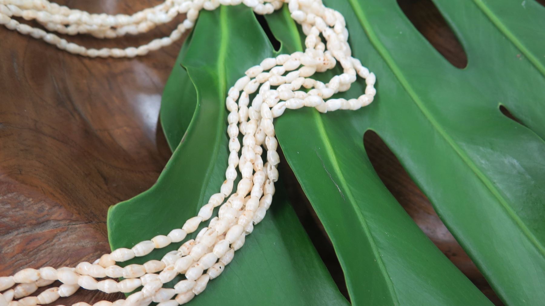 Niihau Shell Lei - 6 Strands, 25