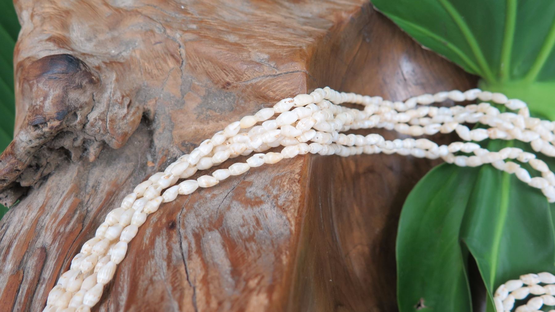Niihau Shell Lei - 6 Strands, 25
